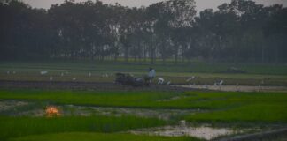 ব্যস্ত কৃষক