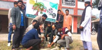 খোকসায় ছাত্রশিবির বৃক্ষ রোপণ করলো