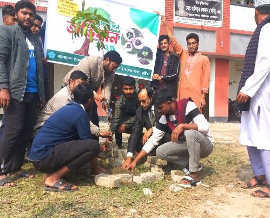 খোকসায় ছাত্রশিবির বৃক্ষ রোপণ করলো