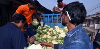 কৃষকের গলার কাঁটা সবজী