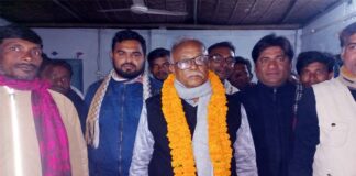 খোকসায় বিএনপির আনন্দ মিছিল