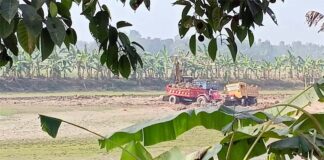 বিলের জমির মাটি যাচ্ছে ইট ভাটায়