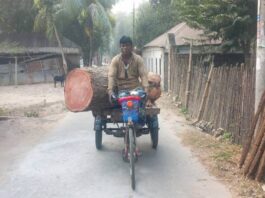 দৌলতপুরের বিএনপি নেতাদের বিরুদ্ধে কলেজের গাছ বিক্রির অভিযোগ
