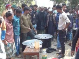 চুরি করা গরু দিয়ে বিএনপি নেতার ভুরিভোজ আয়োজন