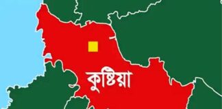 কুষ্টিয়ায় ভাই-ভাতিজার হামলায় আহত কৃষকের মৃত্যু