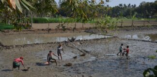 মাছ শিকার