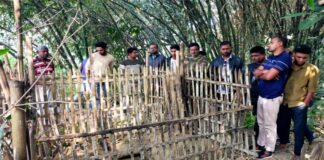 কবর খুঁড়ে দাদি-নাতির কঙ্কাল চুরির অভিযোগ