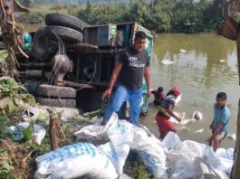 কুষ্টিয়ায় ৪০০ বস্তা সার নিয়ে ট্রাক খালে
