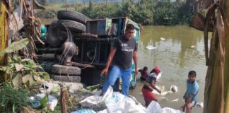 কুষ্টিয়ায় ৪০০ বস্তা সার নিয়ে ট্রাক খালে