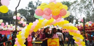 পিঠা উৎসব