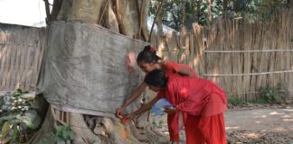 প্রকৃতির কাছে শ্রদ্ধা