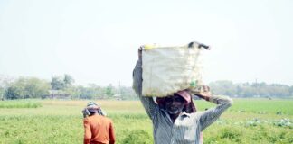 বিষ কিনে চাইলেন নারী কৃষি উদ্যোক্তার স্বামী