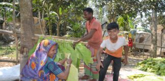 নারীর শ্রম বাড়ছে কৃষিতে