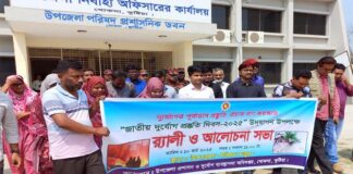 খোকসায় দুর্যোগ প্রস্তুুতি দিবস পালিত