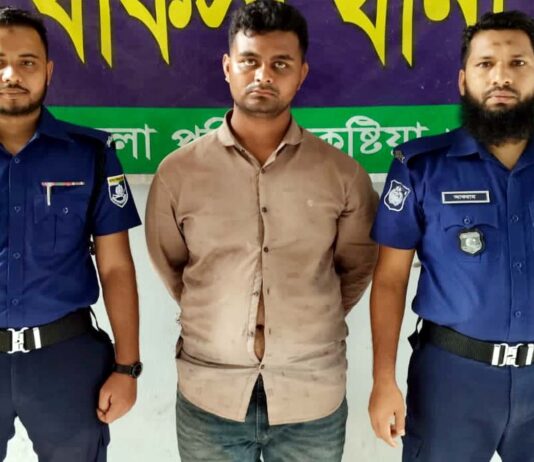 খোকসার মাস্টারপাড়া থেকে ভ্যান চুরির সময় আটক এক