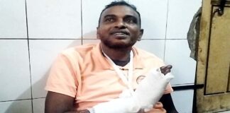 সড়কে গাছ ফেলে যাত্রীবাহী বাসে ডাকাতি