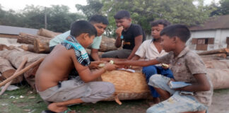 কাঁচা আম ও শৈশব