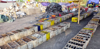 অবৈধ ব্যাটারি রিসাইকেলিং কারখানা অভিযান