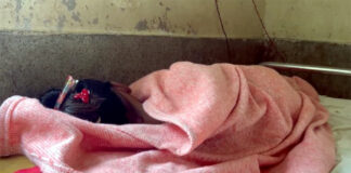 মিরপুরের ধর্ষীত শিশুকে হাসপাতালে ভর্তি করা হয়েছে