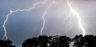 ধান আনতে গিয়ে বজ্রপাতে ট্রলিচালকের মৃত্যু