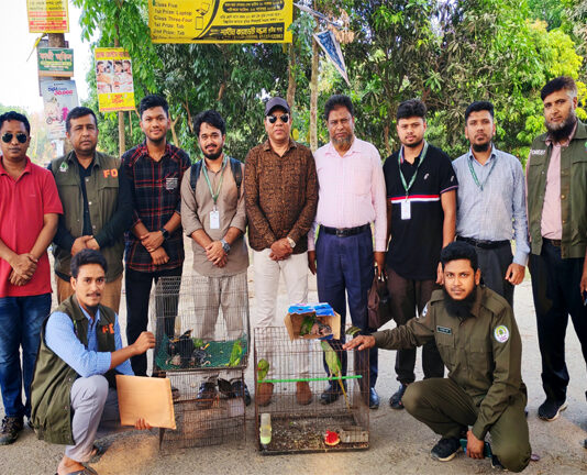 যৌথ অভিযানে ১৪টি দেশীয় পাখি উদ্ধার