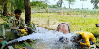 দেশের সর্বোচ্চ তাপমাত্রা চুয়াডাঙ্গায়, কৃষকের মৃত্যু