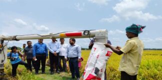 যান্ত্রিক পদ্ধতিতে ব্রিধান চাষে ফলন বেড়েছে