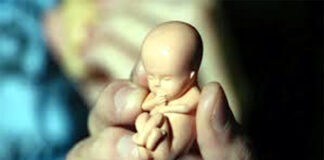 প্রলোভন দেখিয়ে গর্ভপাতঃ কৃষকদল নেতা ও ছেলের বিরুদ্ধে মামলা