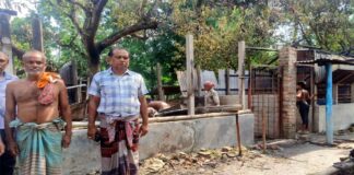 খোকসায় রহস্য জনক আগুনে পুড়ে মরলো ৫ গরু