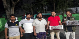 দেশি শালিক পাখি উদ্ধার