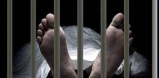 লিচু পাড়তে গিয়ে আহত বৃদ্ধ মারা গেছেন