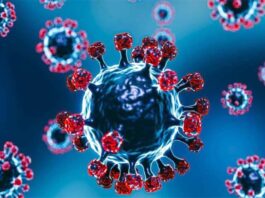 করোনায় একদিনে ৫ জন মারা গেছেন