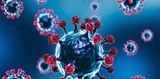 করোনায় একদিনে ৫ জন মারা গেছেন