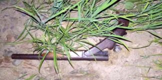 কুষ্টিয়ায় যুবককে গুলি করে হত্যা