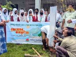 ঝিনাইদহের বংকিরা মাধ্যমিক বিদ্যালয়ে বৃক্ষ রোপণ