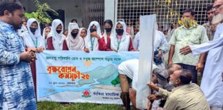 ঝিনাইদহের বংকিরা মাধ্যমিক বিদ্যালয়ে বৃক্ষ রোপণ