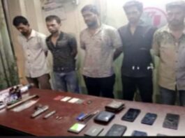 কুষ্টিয়ায় টর্চার সেলের সন্ধান: অস্ত্র-মাদকসহ সন্ত্রাসী আটক