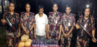 দৌলতপুর সীমান্তে পিস্তল-গুলি ও মাদকসহ একজন আটক
