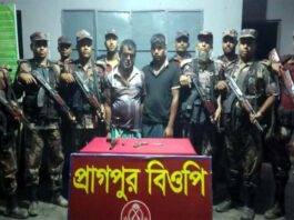 দৌলতপুর সীমান্তে পৃথক অভিযানে বিদেশি আগ্নেয়সহ আটক দুই