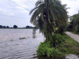 ঝিনাইদহে ত্রিশ গ্রামের জমির ফসল তলিয়ে গেছে