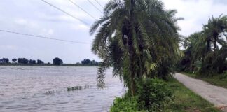 ঝিনাইদহে ত্রিশ গ্রামের জমির ফসল তলিয়ে গেছে