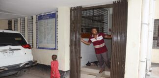 কুকুরের দখলে