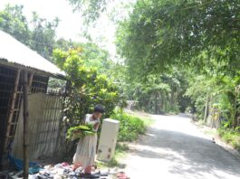 কলা পাতায় ছিন্নি