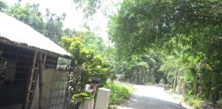 কলা পাতায় ছিন্নি