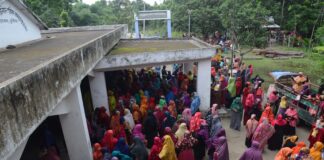 বিএনপি নেতাদের অভিযোগ যাচাই কমিটির বিরুদ্ধে, অবশেষে স্থগিত করেছে প্রশাসন