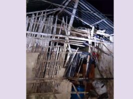 ভেড়ামারায় স্বেচ্ছাসেবক দল নেতার বাড়িতে আগুন