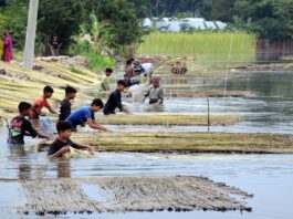 ন্যায্য মুজরী পায়না শিশু শ্রমিকরা