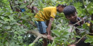 দুরন্ত কৈশোর