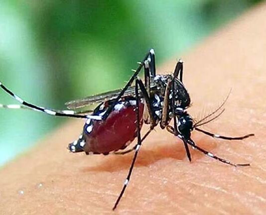 ডেঙ্গুতে একদিনে ৩ মৃত্যু