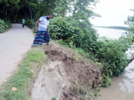 খোকসায় নদী ভাঙ্গনের হুমকীতে পাকা রাস্তা, বসত বাড়ি